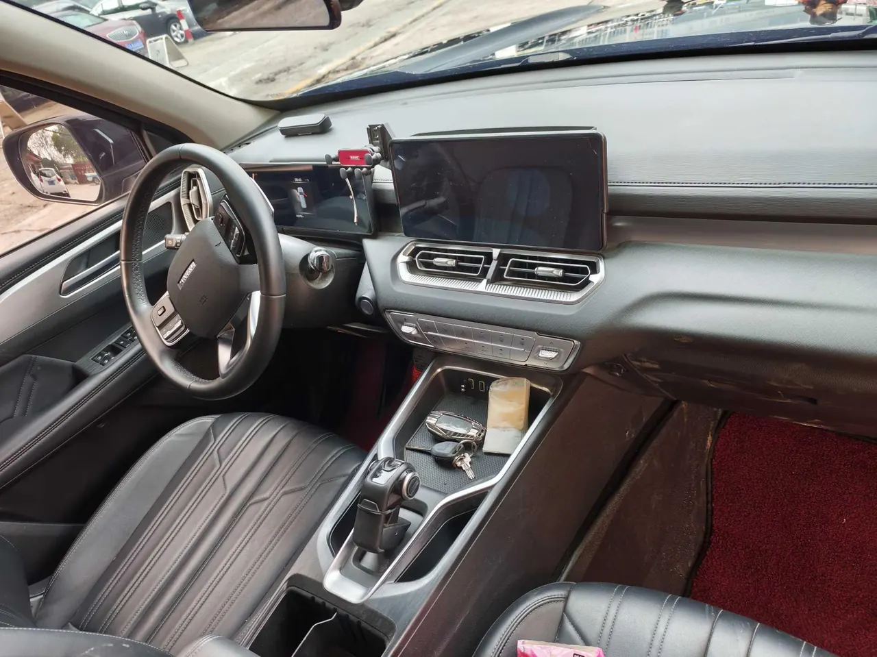 Haval 2023 H5 2.0T 4-wheel drive gasoline LinkedIn automatic gear 10