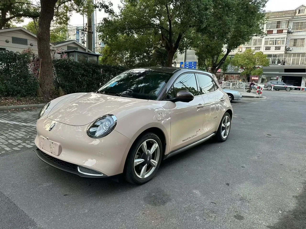 Ora 2022 Good Cats 400km Standard Endurance Luxury Lithium Iron Phosphate Automatic Gear - View 1