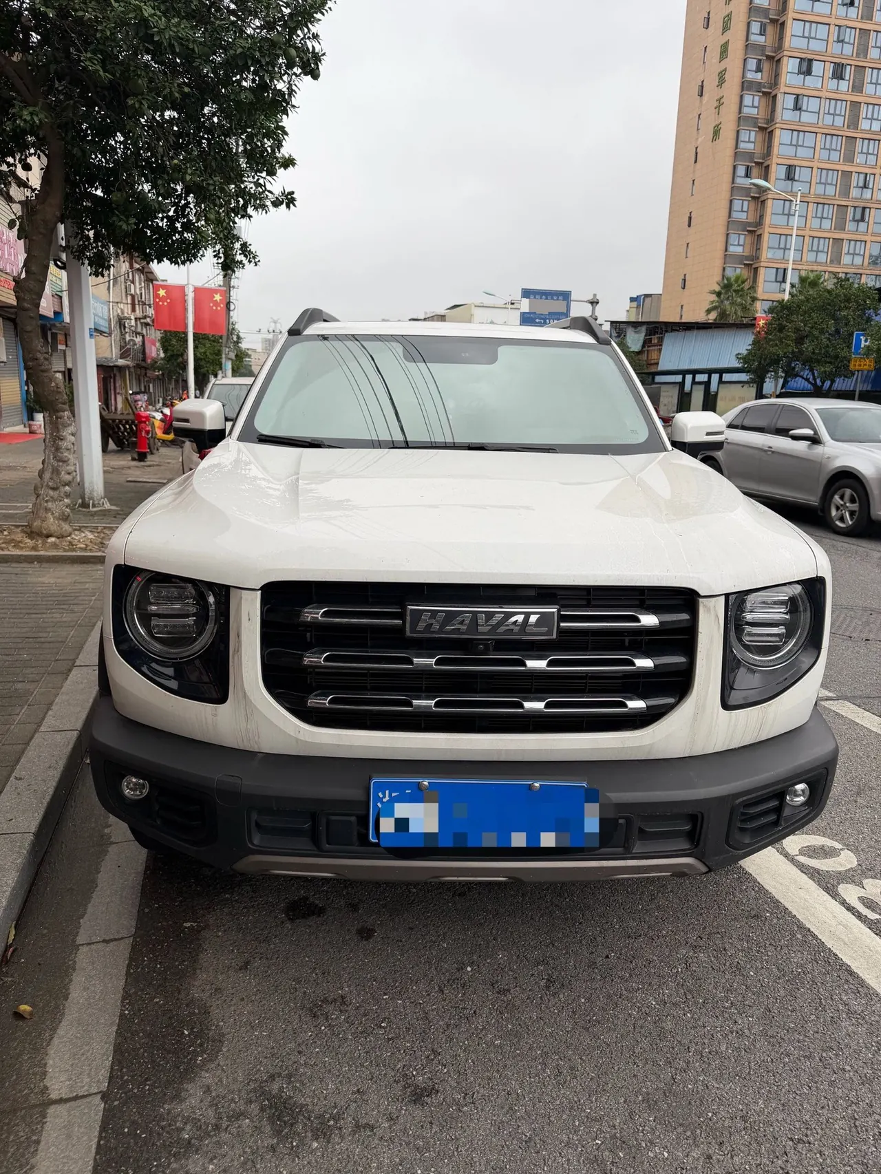 Haval 2022 big dog 1.5T two-wheel drive Labrador version automatic gear 2