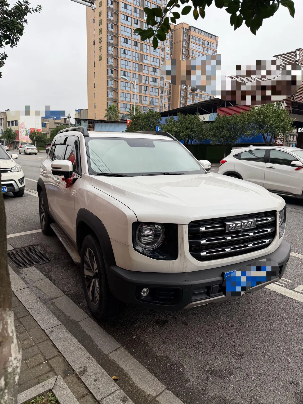 Haval 2022 big dog 1.5T two-wheel drive Labrador version automatic gear 3