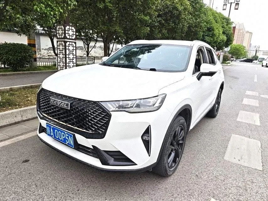 Haval 2021 H6 2.0GDIT four-wheel drive Max automatic gear - View 1