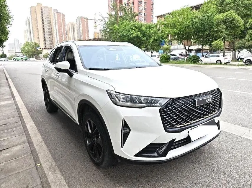 Haval 2021 H6 2.0GDIT four-wheel drive Max automatic gear 3