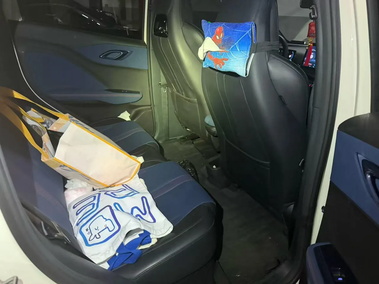 BYD 2023 seagull flying version automatic gear 4