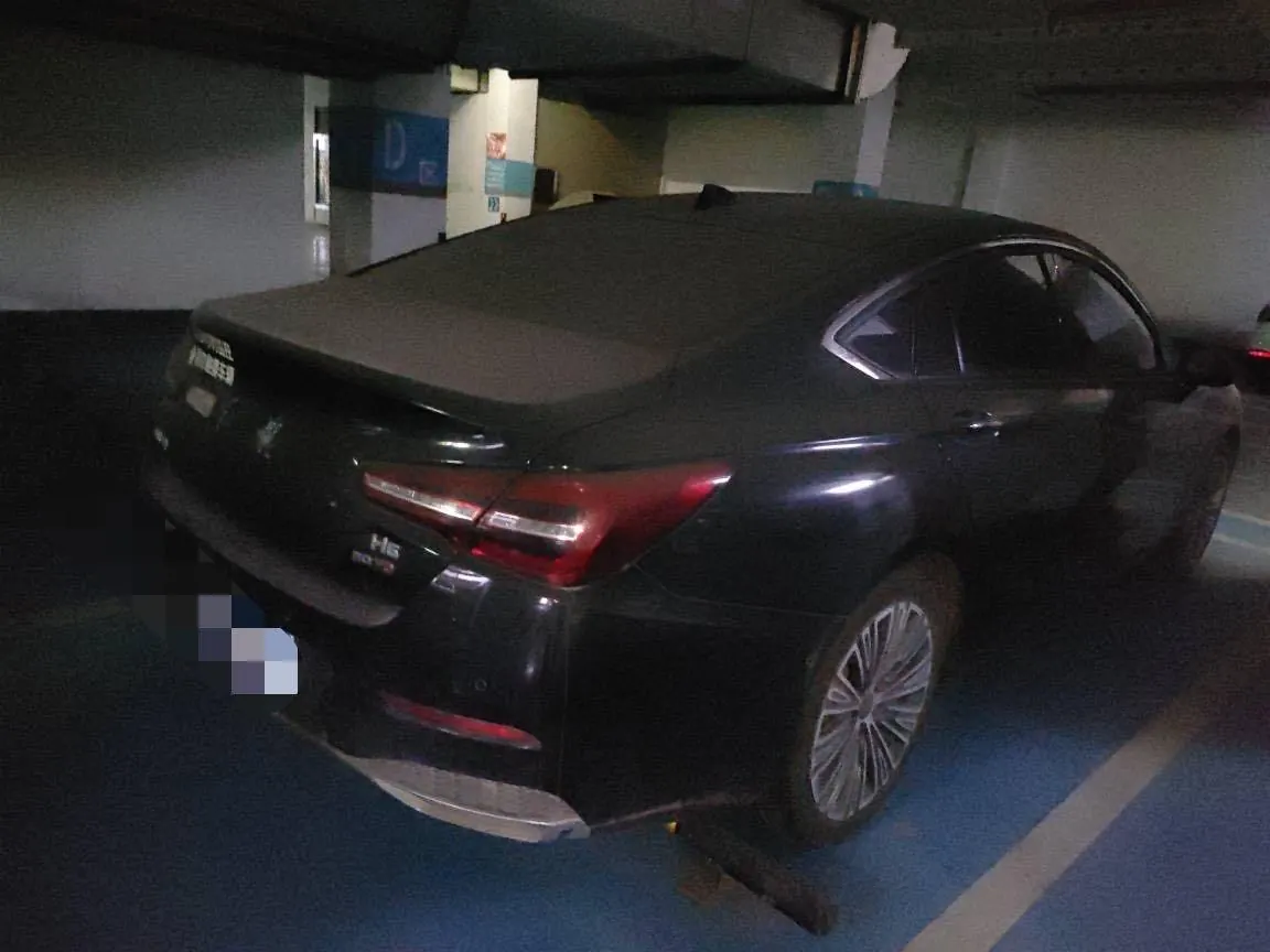 HongQi 2020 H5 1.5TD Flag Rhyme Edition Automatic Gear 2