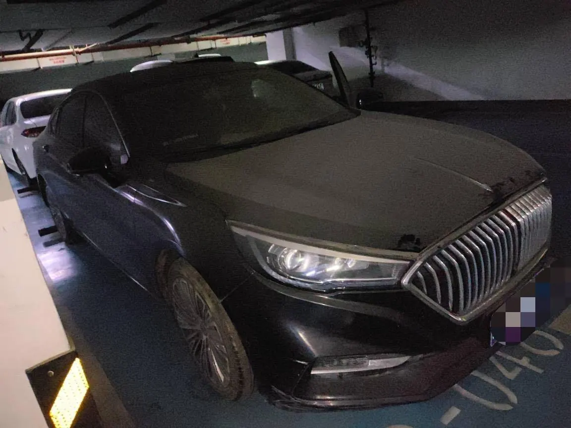 HongQi 2020 H5 1.5TD Flag Rhyme Edition Automatic Gear 4