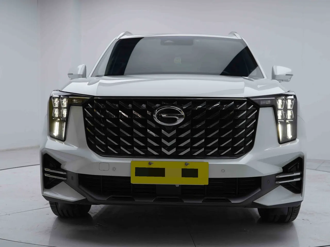 Chuanqi 2022 GS8 2.0TGDI Two-Drive Deluxe Zhilian Edition Seven-seat Automatic Gear 12