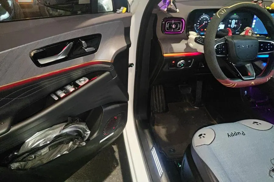 Chery 2025 Ruihu 9 2.0T Two-Drive Premium Edition 5-seat Automatic Gear 5