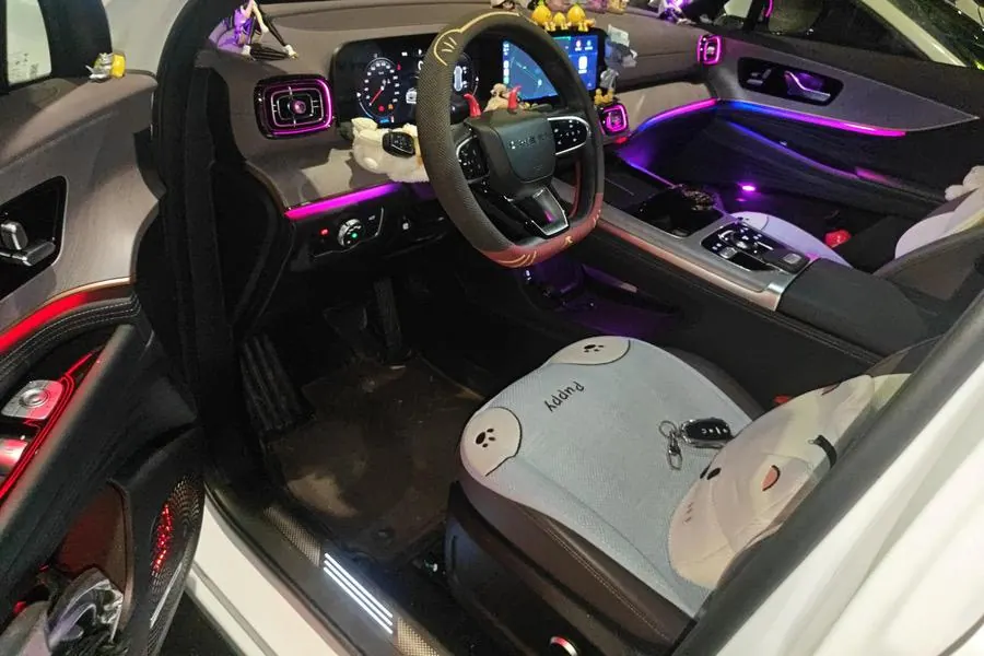 Chery 2025 Ruihu 9 2.0T Two-Drive Premium Edition 5-seat Automatic Gear 6