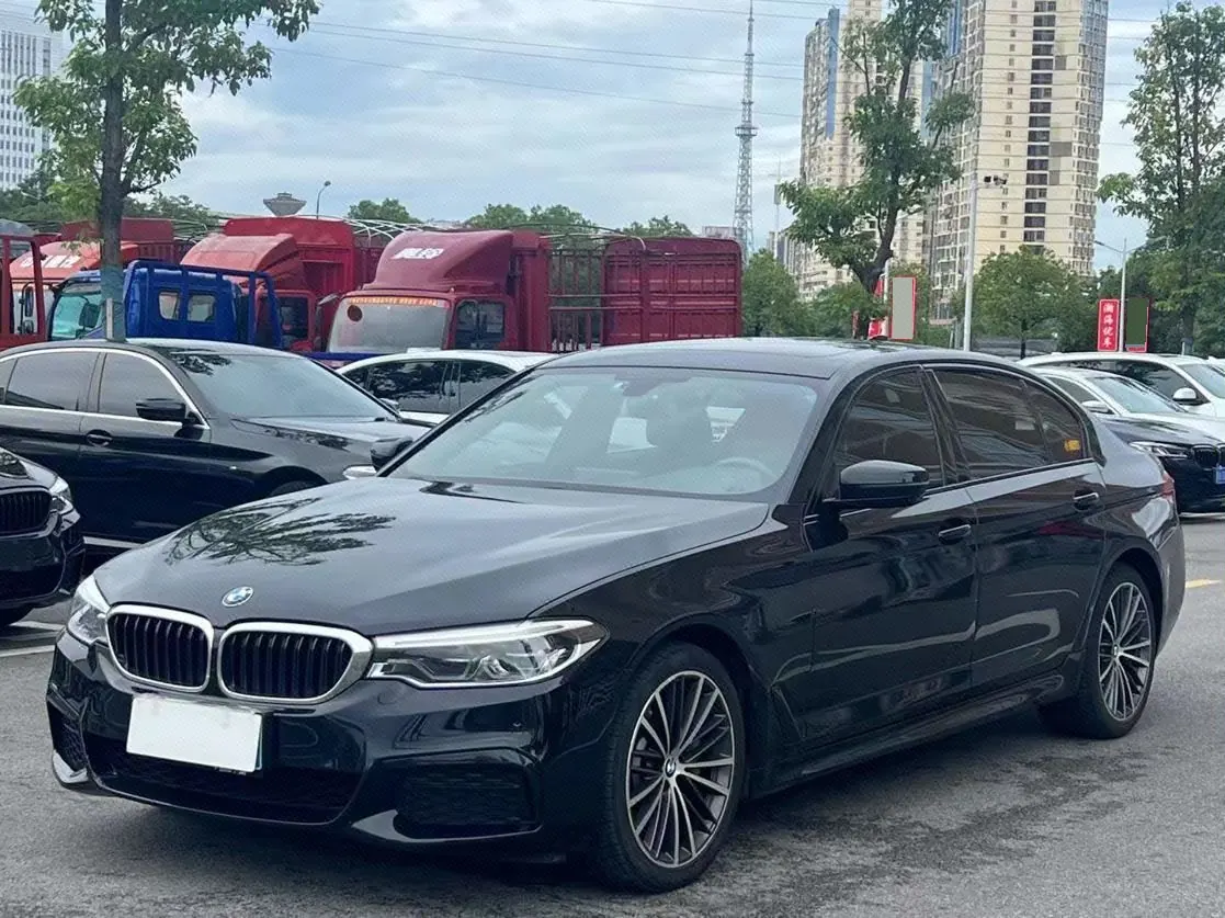 BMW 5 Series 2020 530Li 2.0T Leading M Sports Suit Automatic Gear - View 1