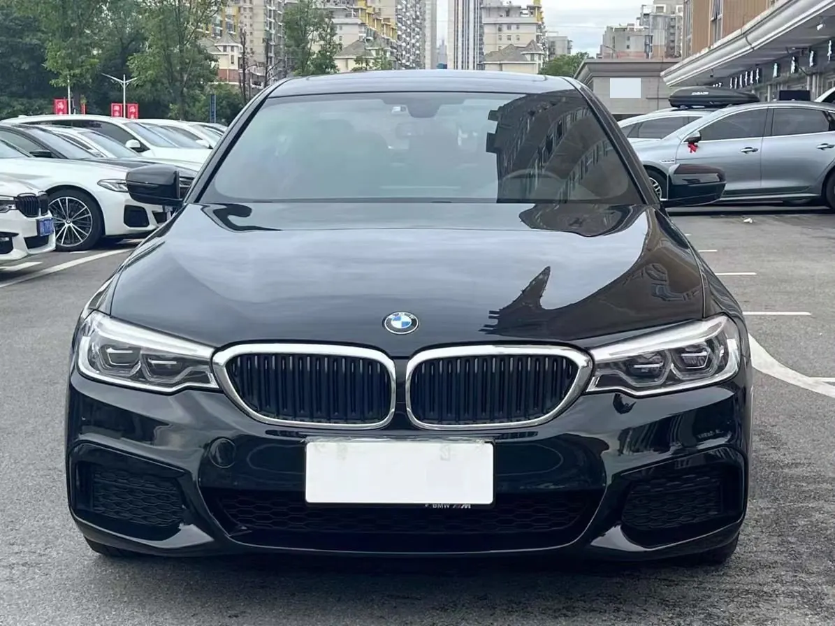 BMW 5 Series 2020 530Li 2.0T Leading M Sports Suit Automatic Gear 2