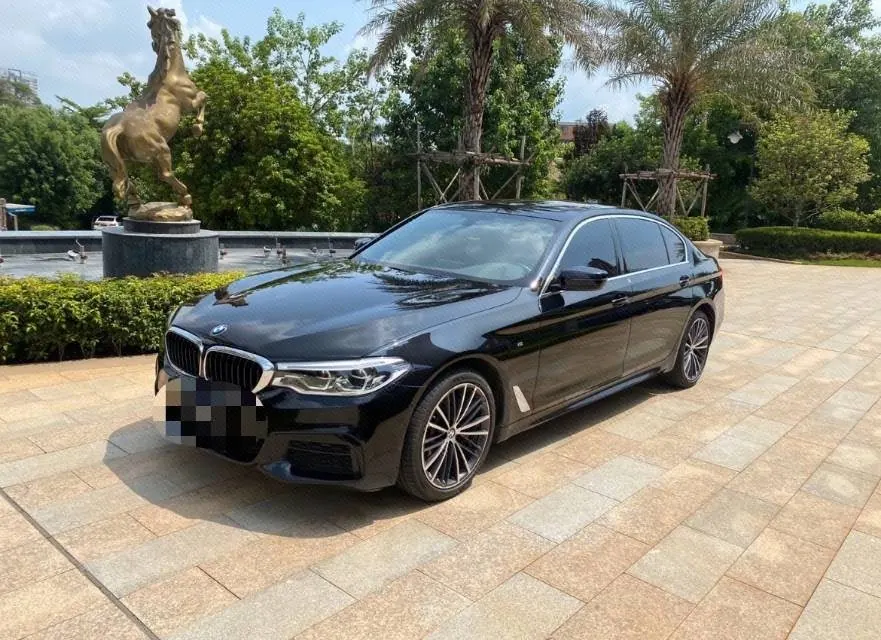 BMW 5 Series 2020 530Li 2.0T Leading M Sports Suit Automatic Gear - View 1