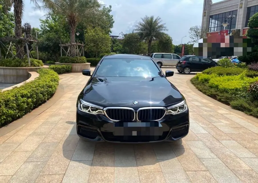 BMW 5 Series 2020 530Li 2.0T Leading M Sports Suit Automatic Gear 2