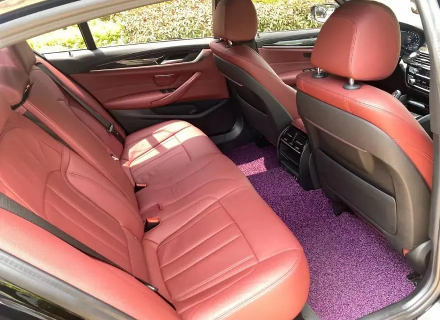BMW 5 Series 2020 530Li 2.0T Leading M Sports Suit Automatic Gear 7