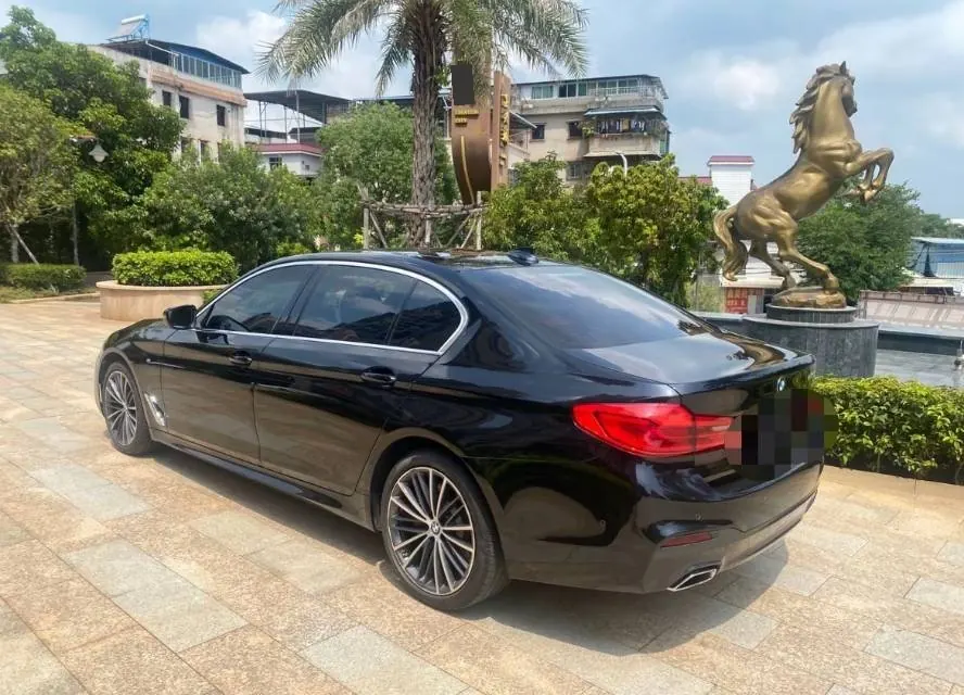 BMW 5 Series 2020 530Li 2.0T Leading M Sports Suit Automatic Gear 8