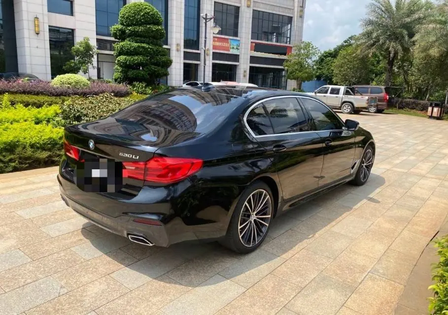 BMW 5 Series 2020 530Li 2.0T Leading M Sports Suit Automatic Gear 9