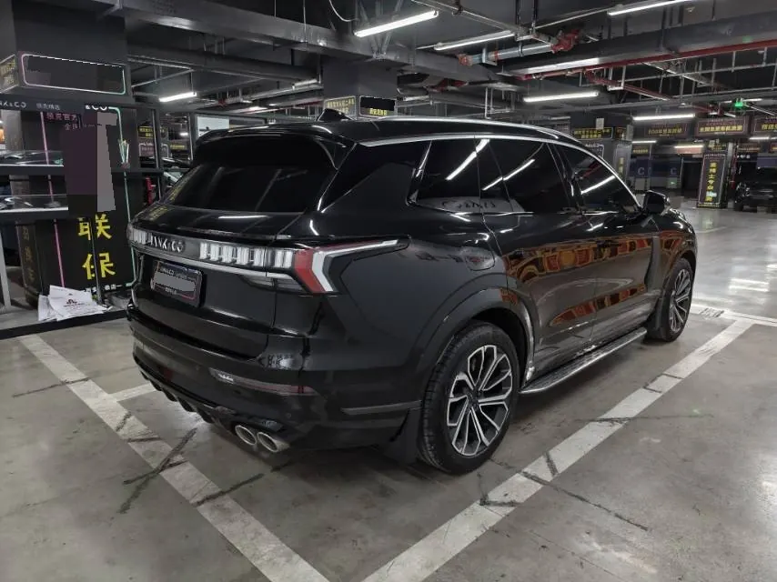LYNK&amp;CO 2024 LYNK&amp;CO 09 MHEV 2.0T 4-wheel drive sports version 5-seat automatic gear 5