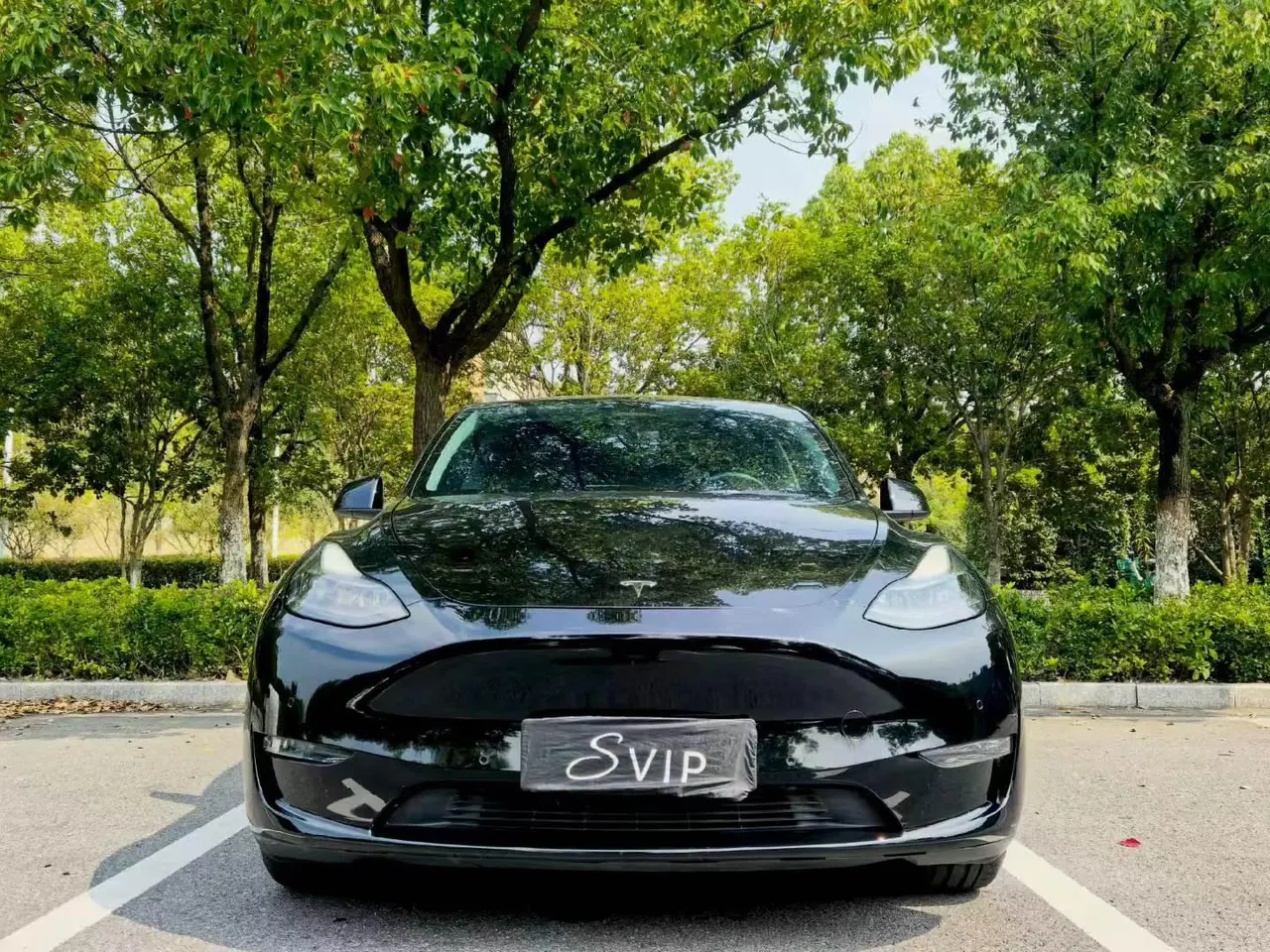 Tesla 2021 Model Y Standard Endurance Rear Drive Automatic Gear 2