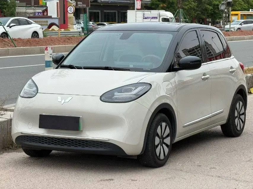 WuLing 2025 Plantronics 333km Enjoy Automatic Gear - View 1