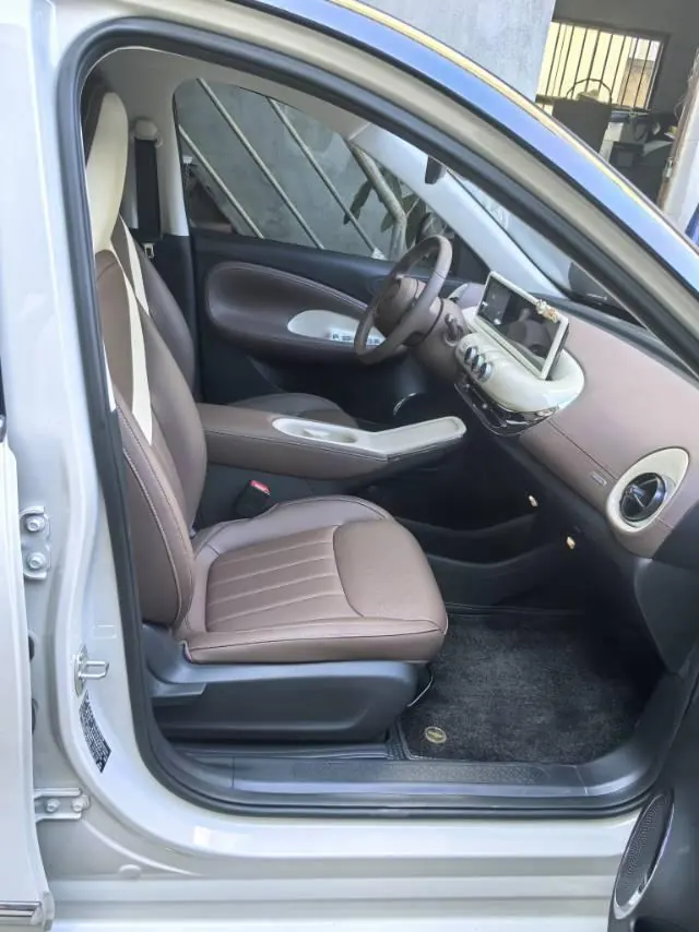 WuLing 2025 Plantronics 333km Enjoy Automatic Gear 6