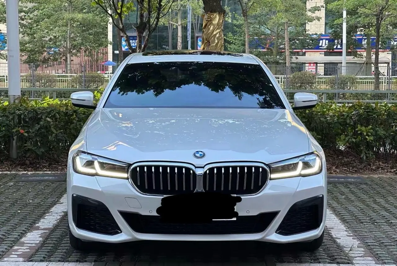 BMW 5 Series 2020 530Li 2.0T Exclusive M Sports Suit Automatic Gear 2