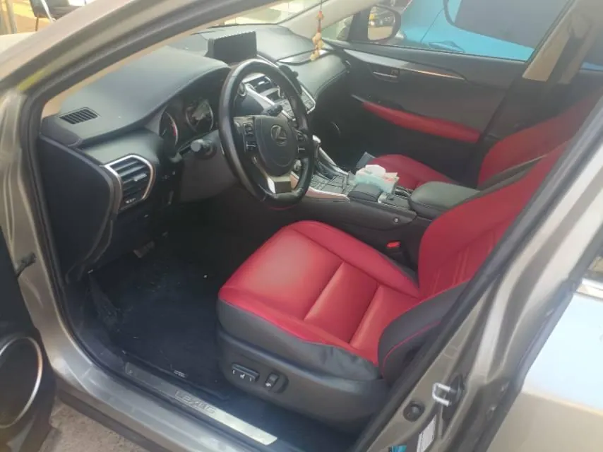 Lexus NX (Imported) 2020 NX200 2.0 Stepless Automatic Gear 2