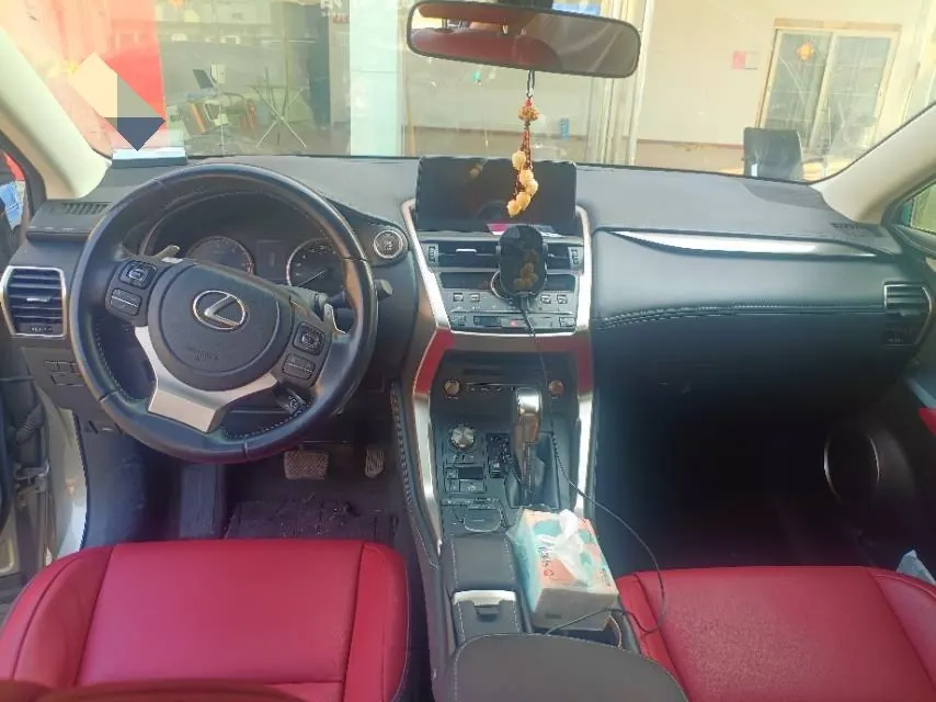 Lexus NX (Imported) 2020 NX200 2.0 Stepless Automatic Gear 4