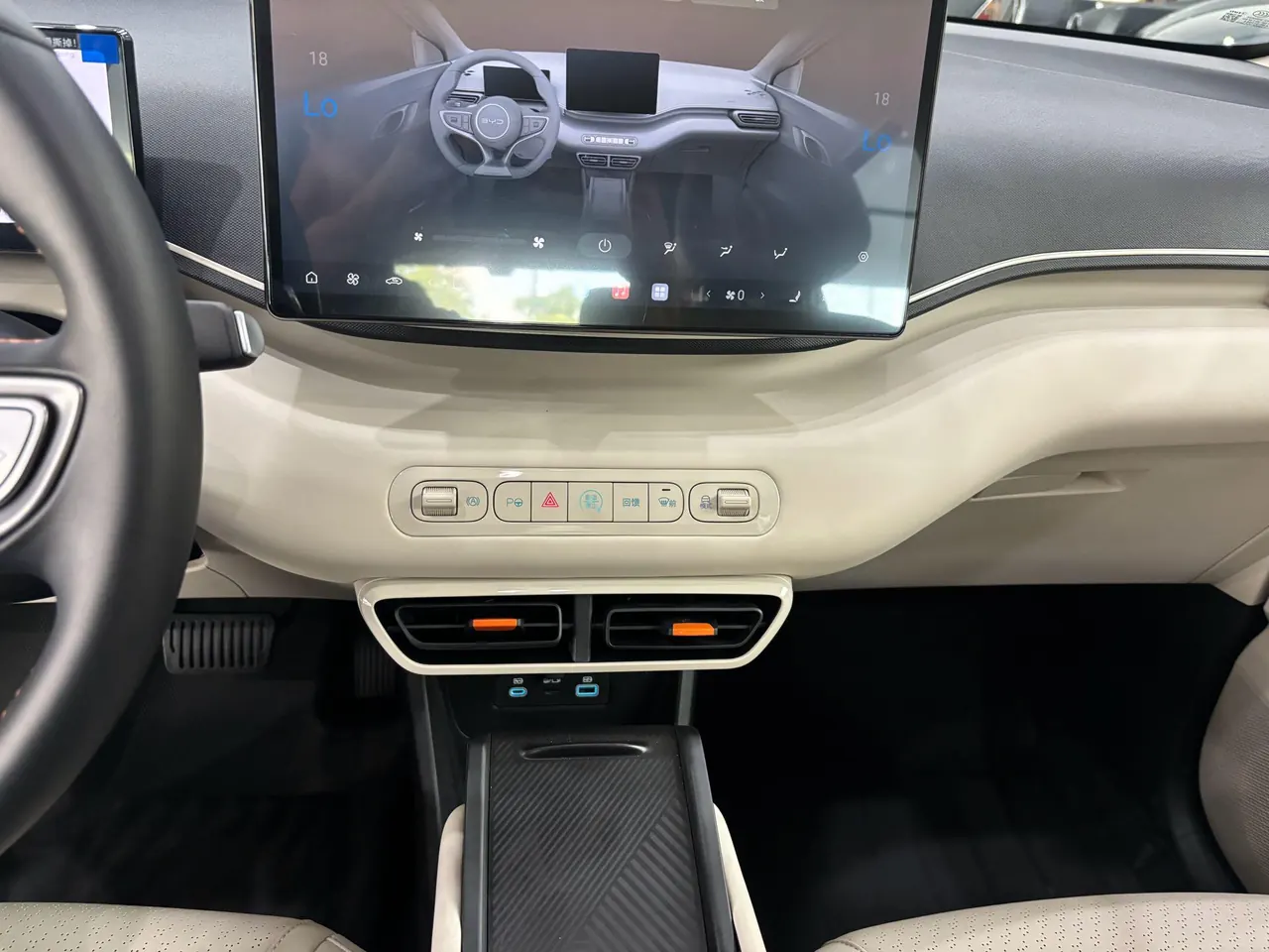 BYD 2026 seagulls 305km free version automatic gear 17