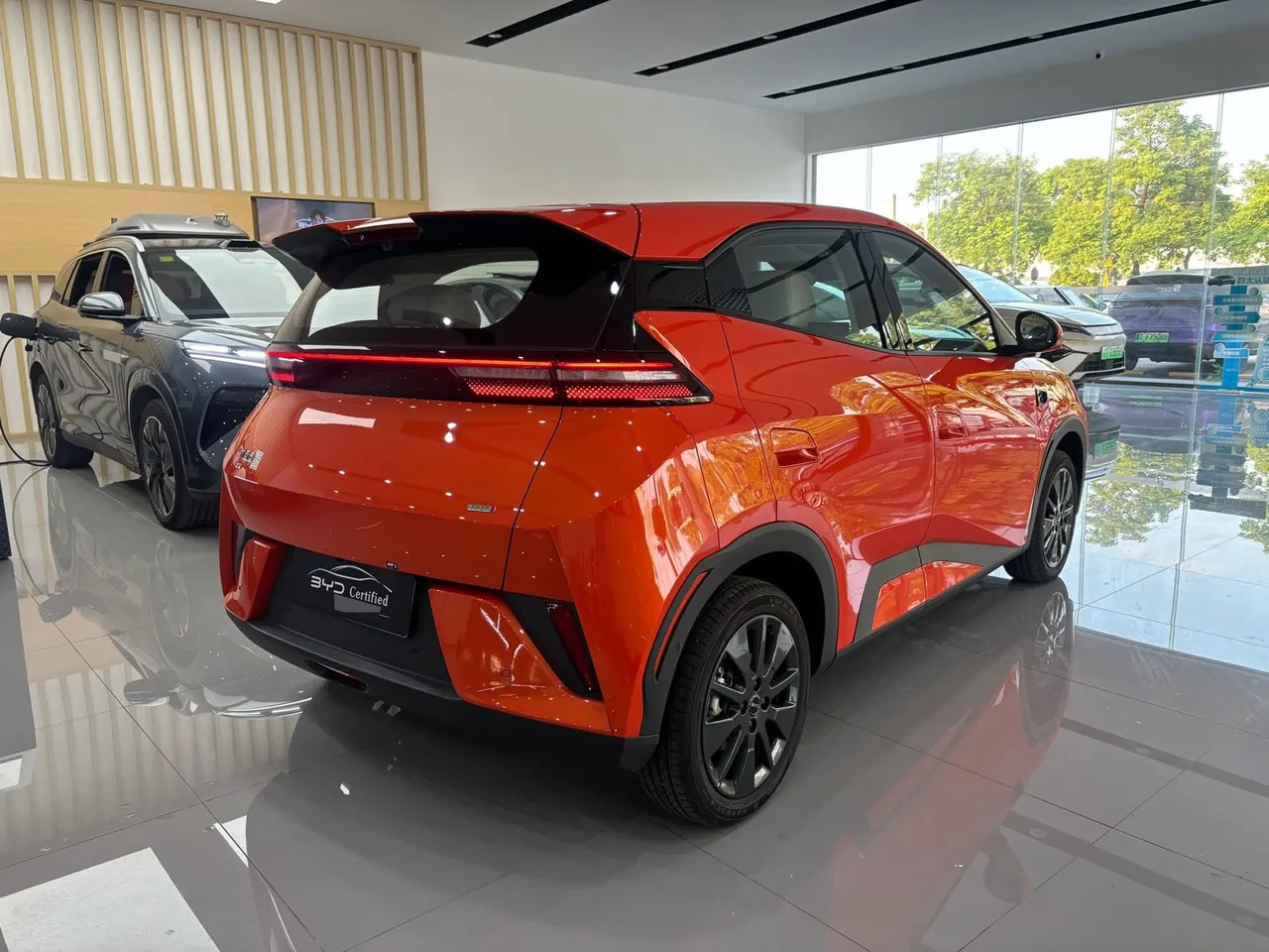 BYD 2026 seagulls 305km free version automatic gear 4