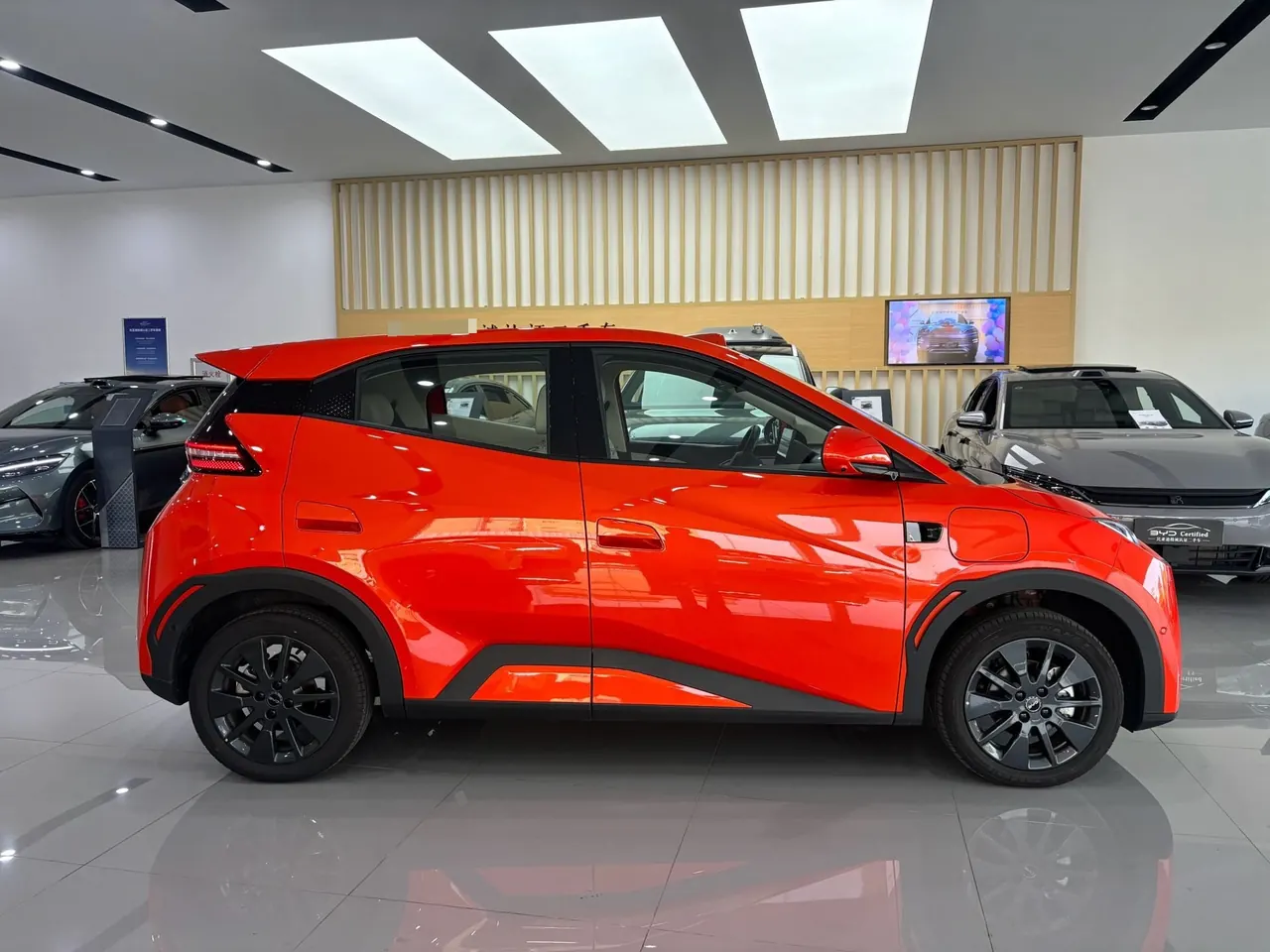BYD 2026 seagulls 305km free version automatic gear 5