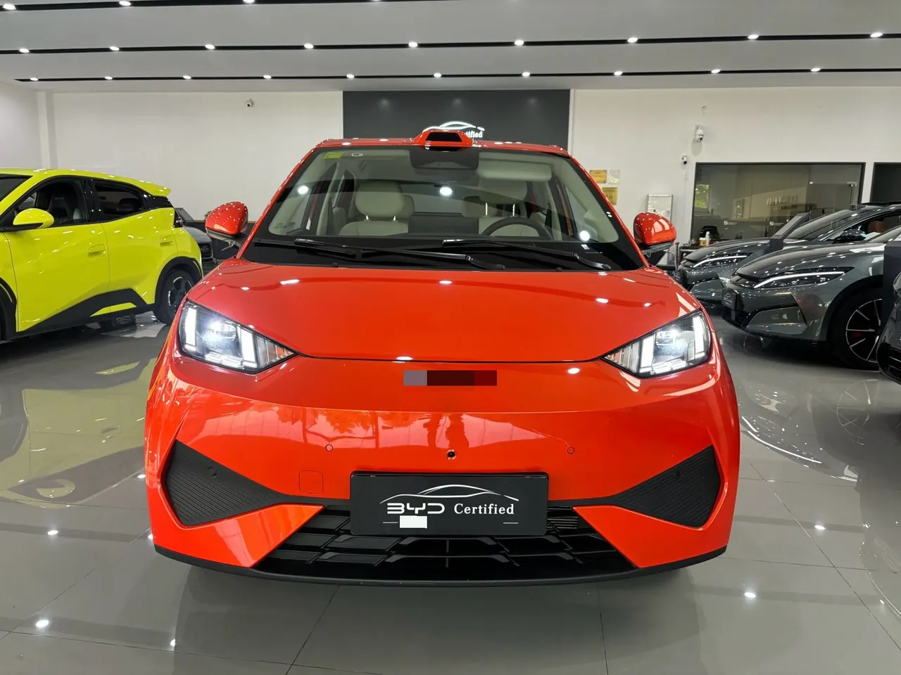 BYD 2026 seagulls 305km free version automatic gear 7