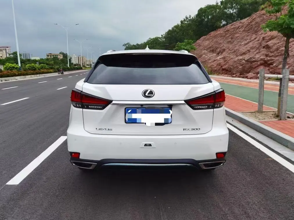 Lexus RX (Imported) 2020 RX300 2.0T Two-Drive Elite Edition (Revised) Automatic Gear 6