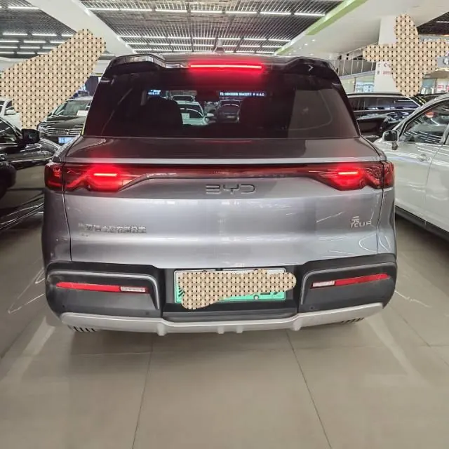 BYD 2024 Yuan UP 401KM Vital Edition Automatic Gear 4