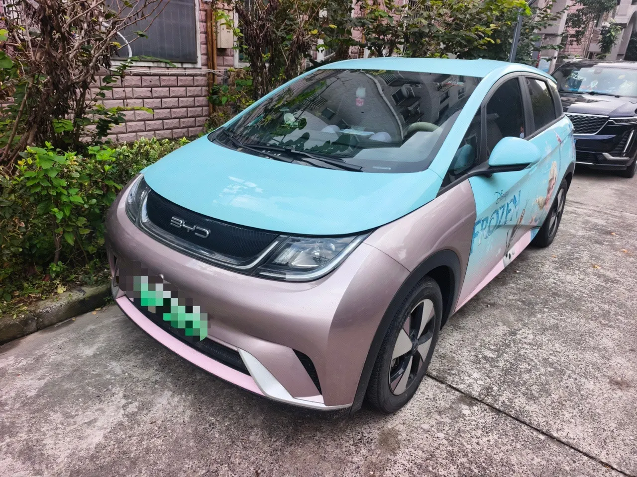 BYD 2023 Dolphins 420km Free Edition Automatic - View 1