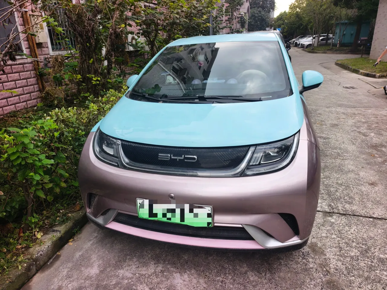 BYD 2023 Dolphins 420km Free Edition Automatic 2