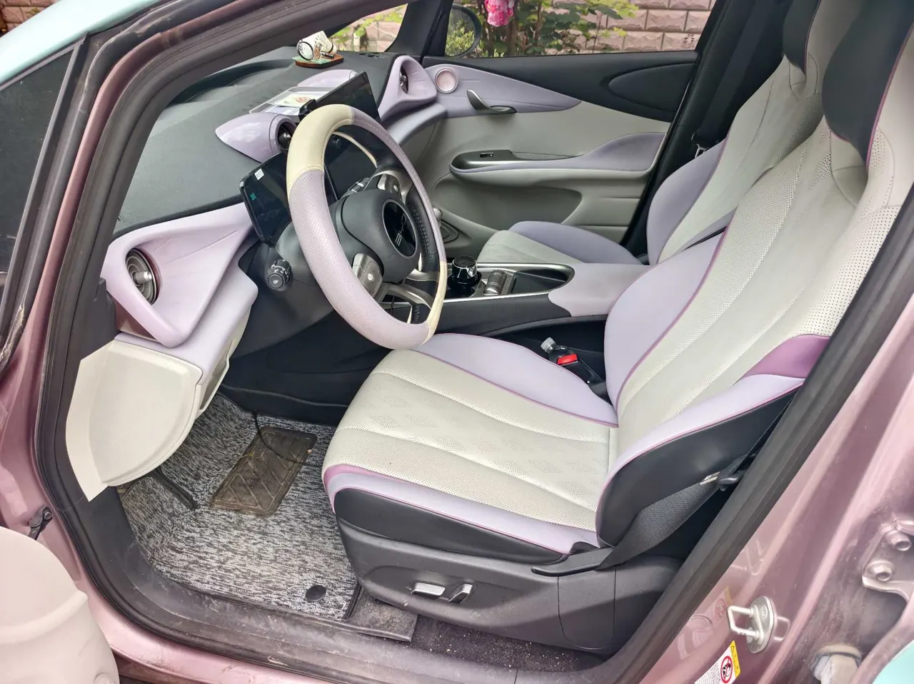 BYD 2023 Dolphins 420km Free Edition Automatic 4