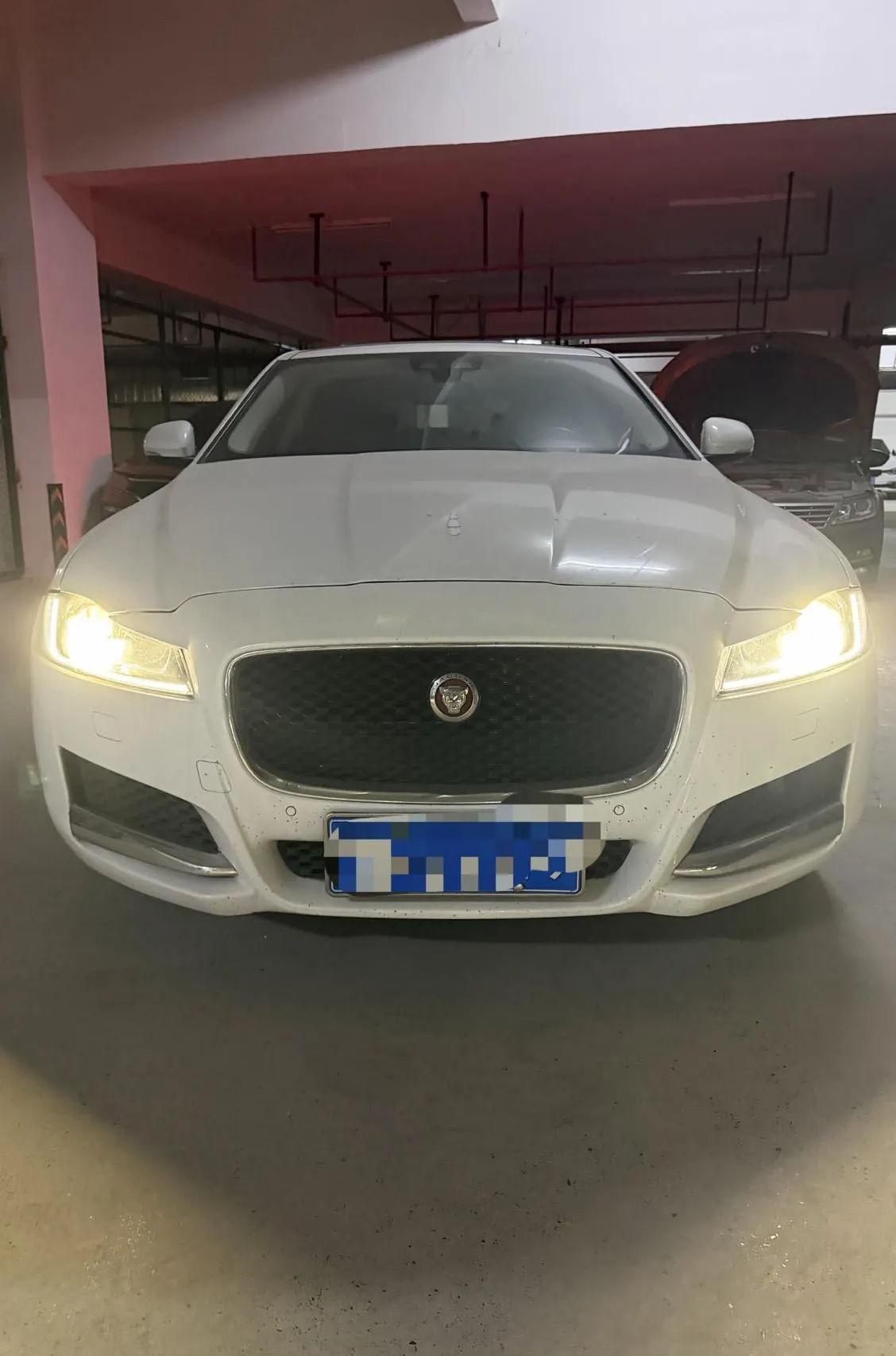 Jaguar 2020 XFL 2.0T P 10000.00g Drive Elite Automatic Gear 2
