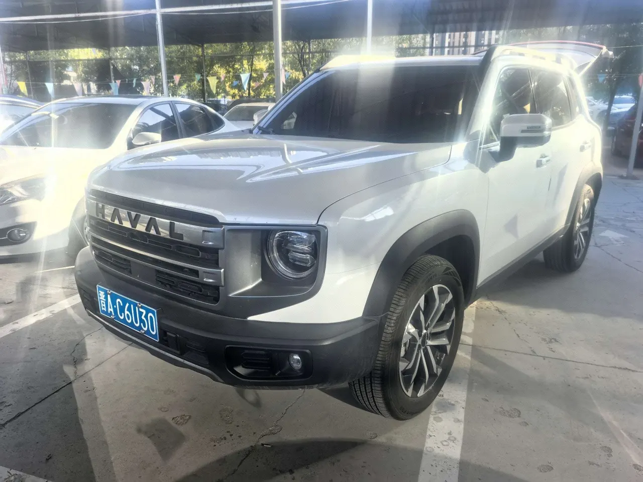 Haval 2024 big dogs 1.5T border animal husbandry version of automatic gear - View 1