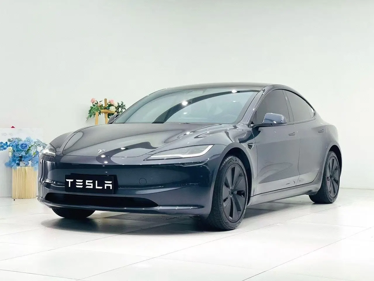 Tesla 2023 Model 3 Rejuvenation Edition Rear Wheel Drive Automatic Transmission - View 1
