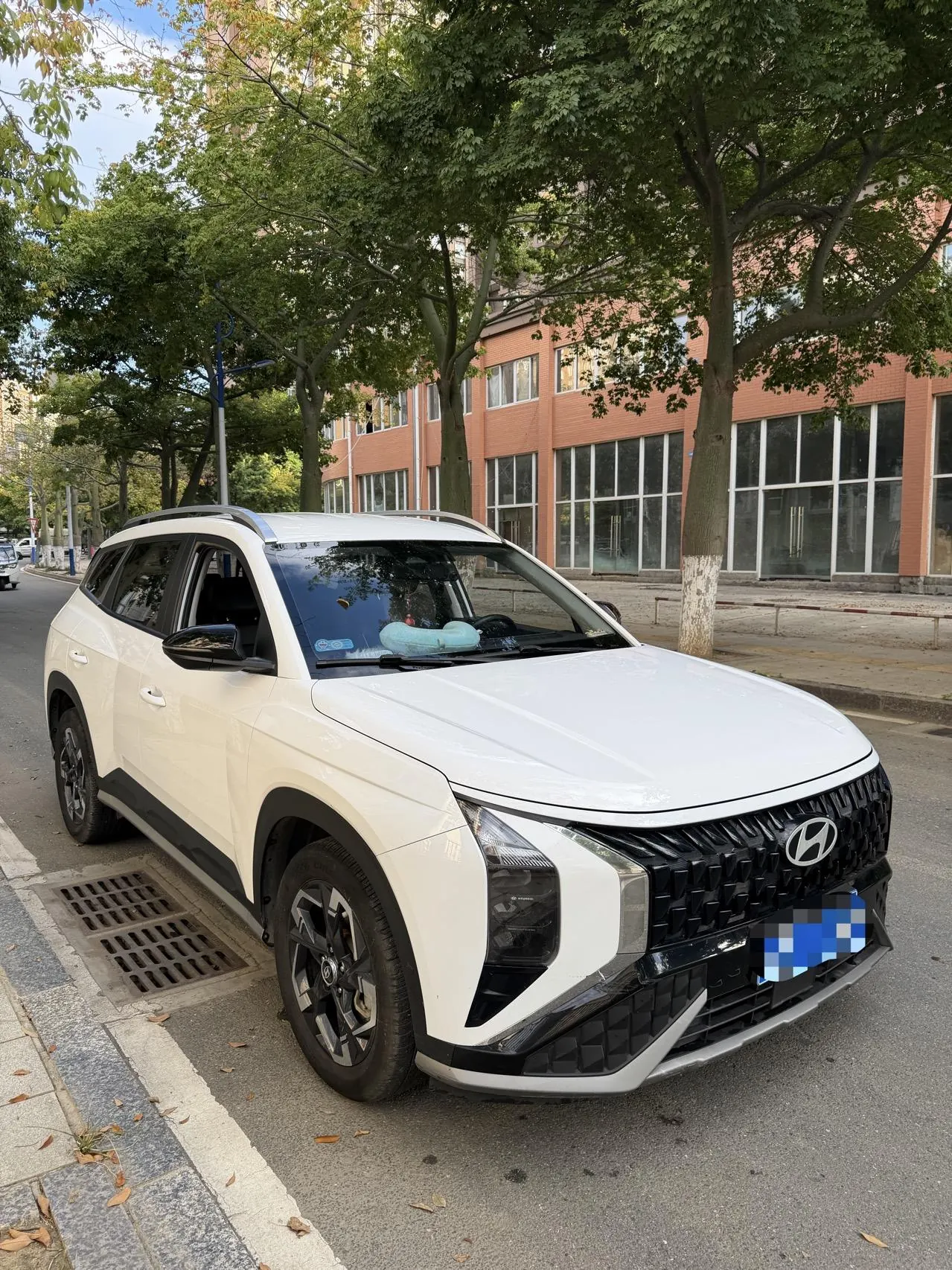 Hyundai 2023 MUFASA (Mu Sa) 2.0 LUX Distinguished Obsidian Night Edition Automatic Gear 2