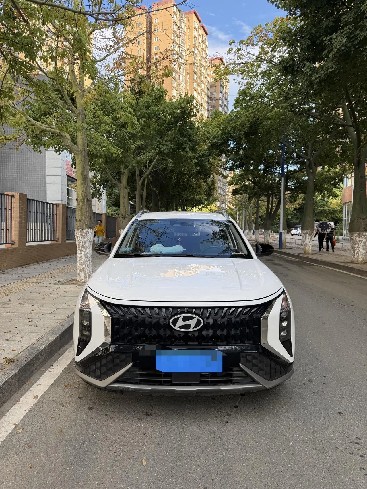 Hyundai 2023 MUFASA (Mu Sa) 2.0 LUX Distinguished Obsidian Night Edition Automatic Gear 7