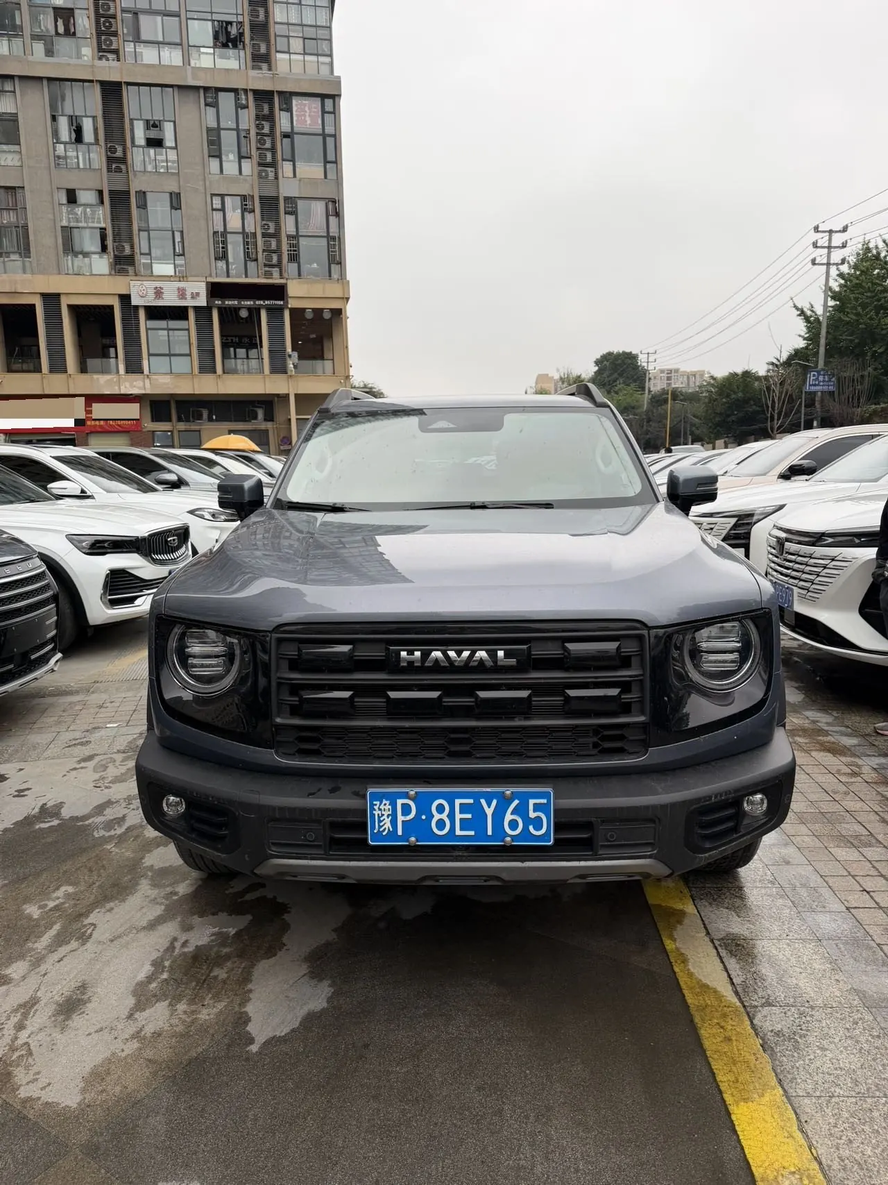 Haval 2026 model Big Dog 1.5T Border Collie Edition Automatic Transmission 2