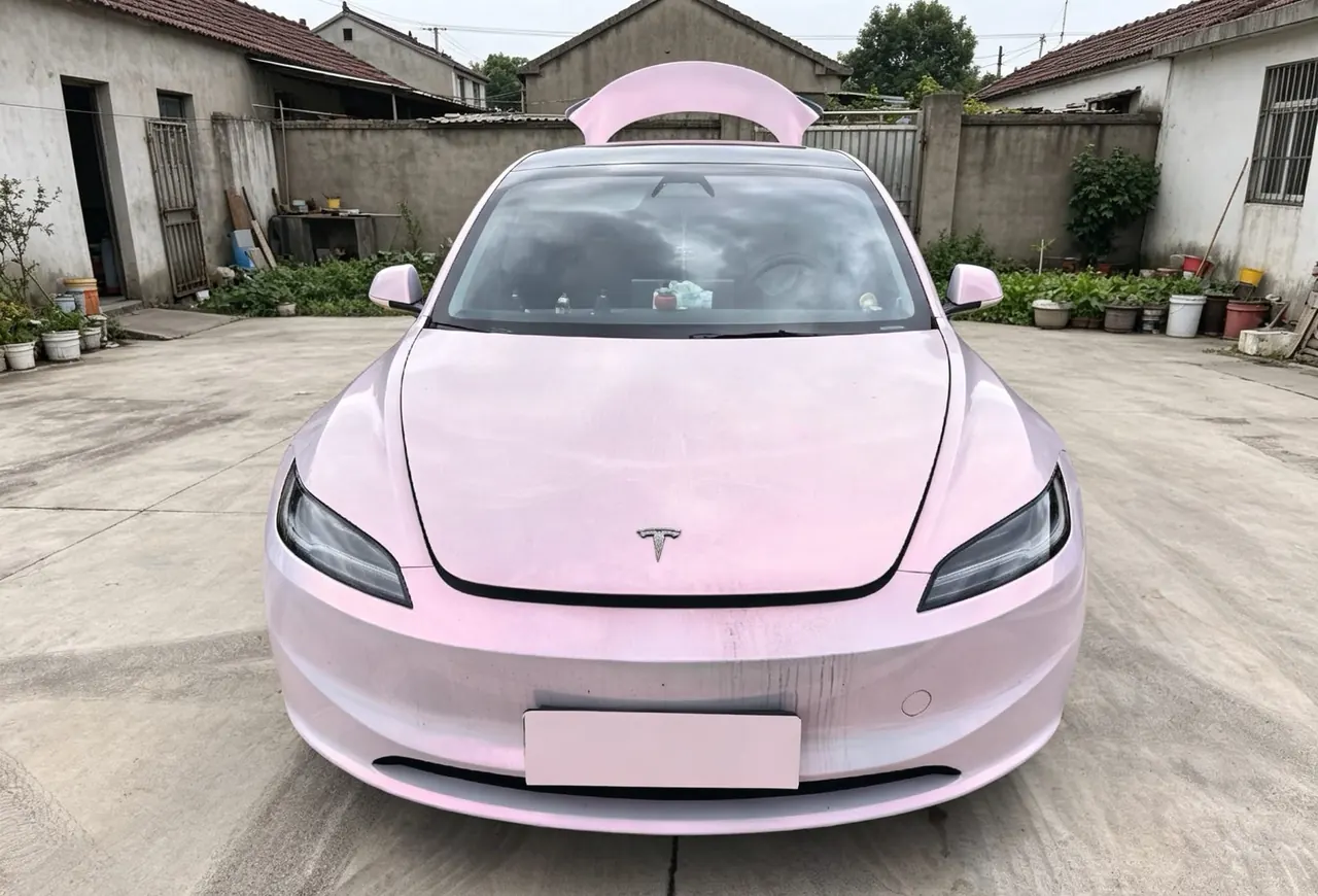 Tesla 2023 Model 3 Rejuvenation Edition Rear Wheel Drive Automatic Transmission 2