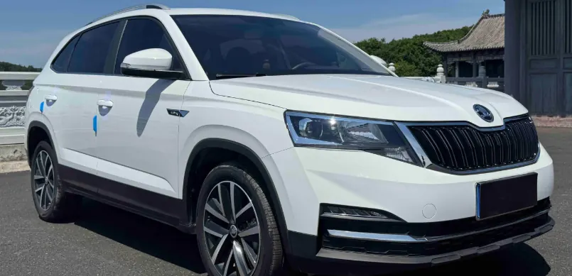 Skoda 2023 Comic 1.5 Comfortable Edition (Modified) Automatic Gear 5