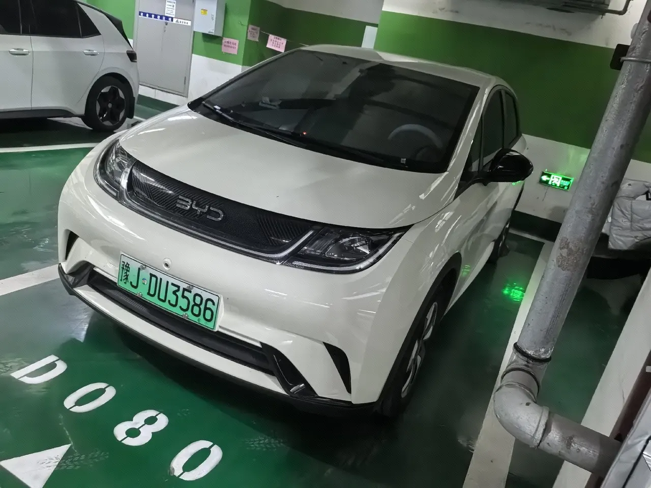 BYD 2025 Dolphins 420km Free Edition Automatic - View 1