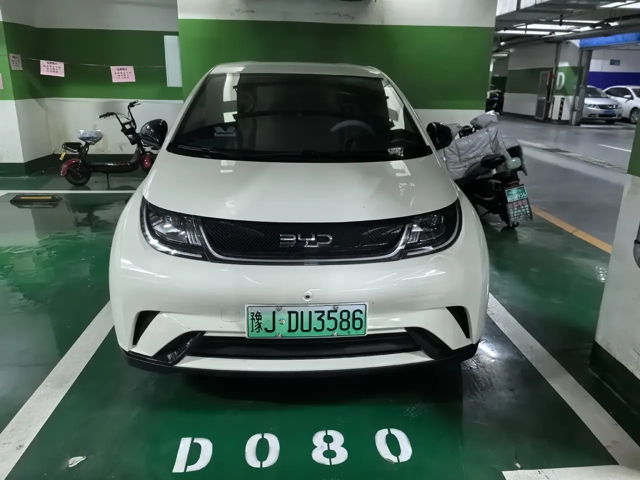 BYD 2025 Dolphins 420km Free Edition Automatic 3