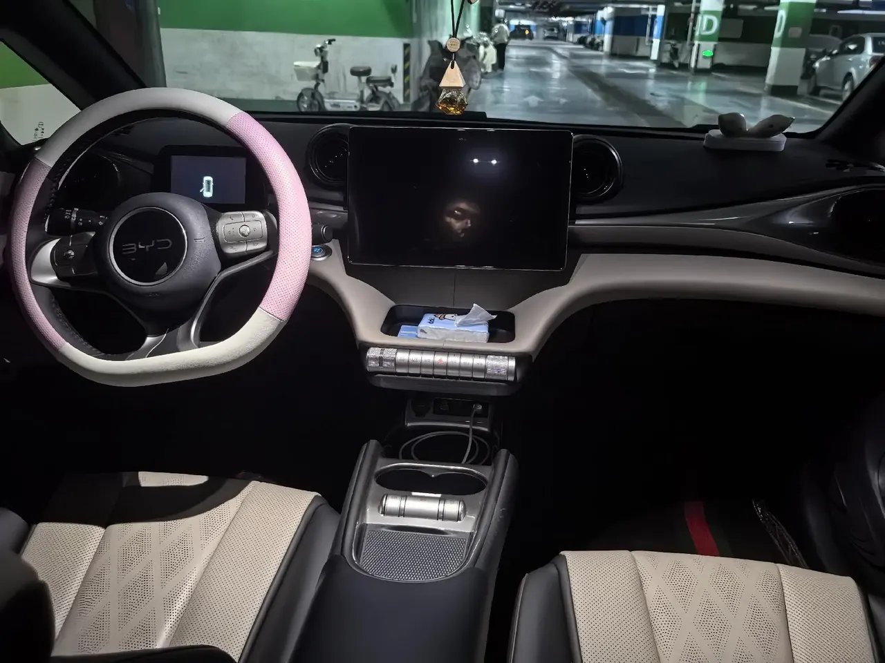 BYD 2025 Dolphins 420km Free Edition Automatic 6