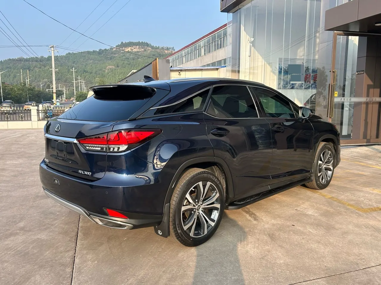 Lexus RX (Imported) 2020 RX300 2.0T Four-wheel Drive Elegant Edition (Modified) Automatic Gear 6