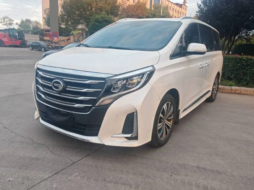 Chuanqi 2020 GM8 2.0T 390T Premium Edition Automatic Gear - View 1