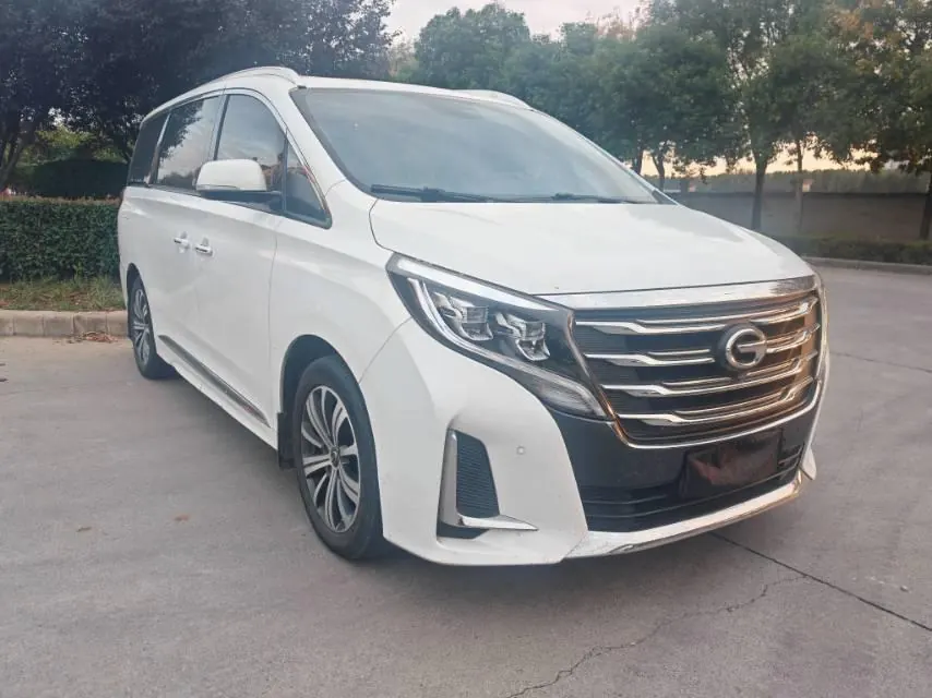 Chuanqi 2020 GM8 2.0T 390T Premium Edition Automatic Gear 3