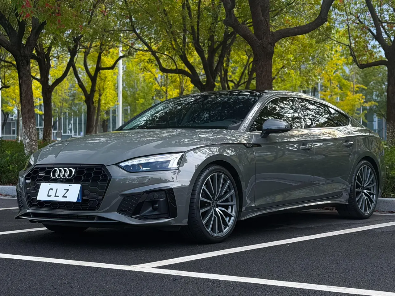 Audi A5 (Imported) 2023 A5 Sportback 2.0TFSI 40TFSI Quattro Luxury Dynamic Automatic Gear 16